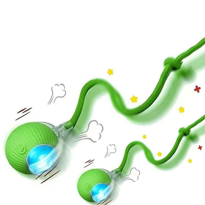 Smart Rechargeable Cat Ball Toy – Auto Rolling Interactive Trainer