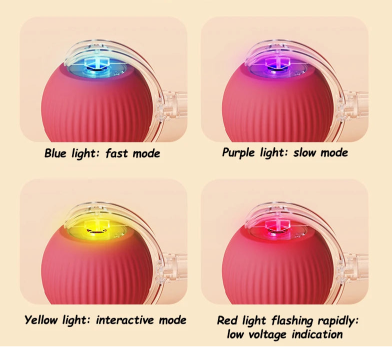 Smart Rechargeable Cat Ball Toy – Auto Rolling Interactive Trainer