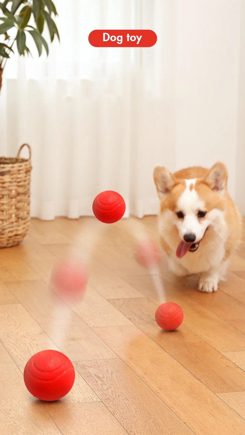 Indestructible Dog Ball – Solid Rubber Bite-Resistant Training Toy