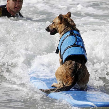 Summer Dog Life Vest – Reflective Safety Swimming Suit