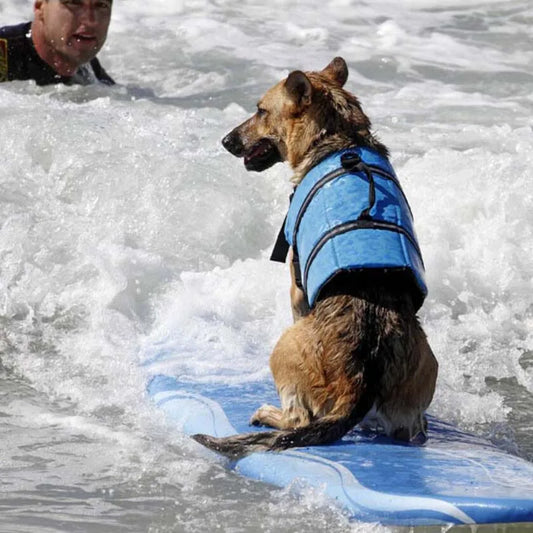 Summer Dog Life Vest – Reflective Safety Swimming Suit