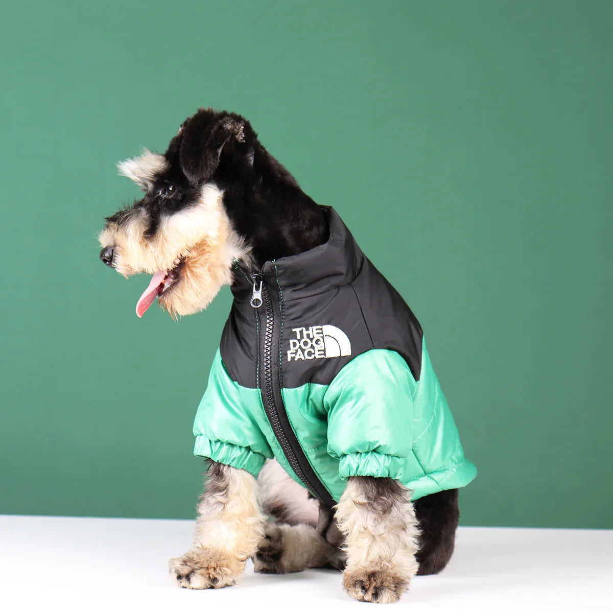 Reflective Winter Dog Jacket – Waterproof Windproof Coat for All Sizes