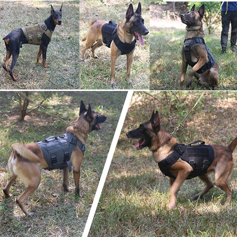 Tactical Military Dog Harness & Leash Set – Heavy-Duty Training Vest