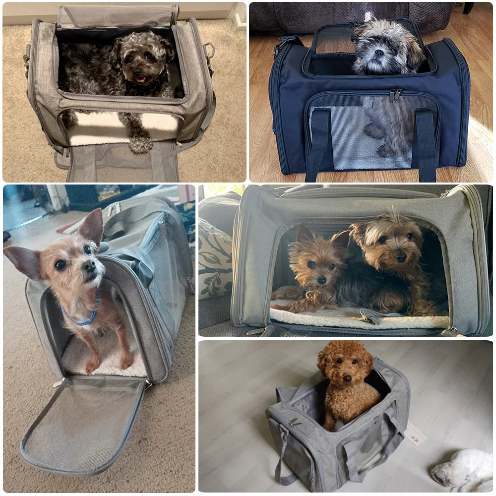 Dog Carrier Travel Backpack – Airline Approved, Waterproof & Claw-Resistant