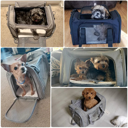 Dog Carrier Travel Backpack – Airline Approved, Waterproof & Claw-Resistant