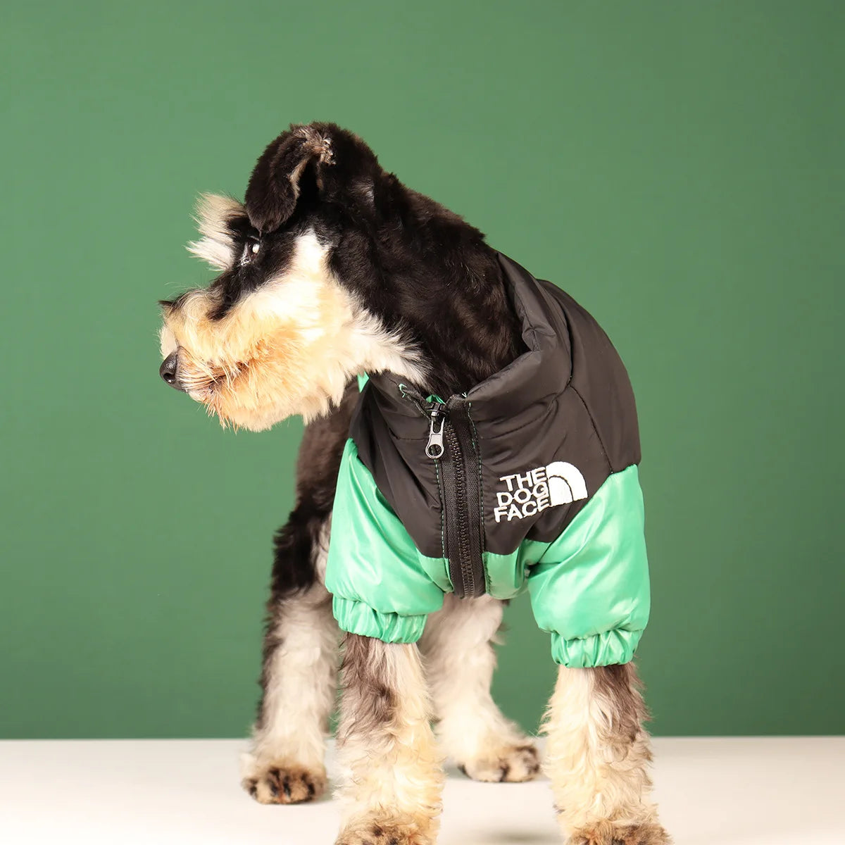 Reflective Winter Dog Jacket – Waterproof Windproof Coat for All Sizes
