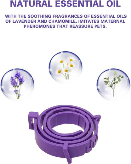 Adjustable Pet Calming Collar – Lavender & Chamomile for Anxiety Relief