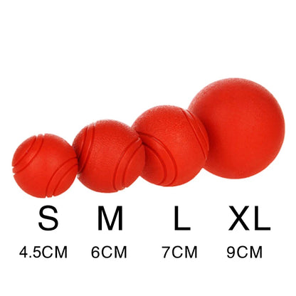 Indestructible Dog Ball – Solid Rubber Bite-Resistant Training Toy