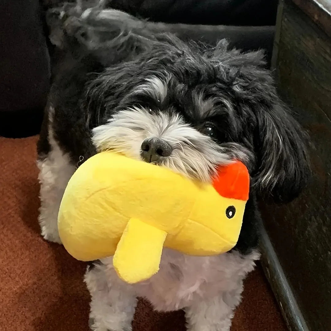 7-Piece Plush Puppy Squeaky Toy Set – Fruit & Veggie Chew Toys